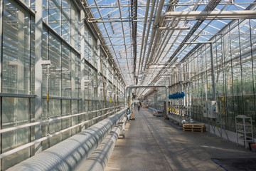 Corridor in the greenhouse