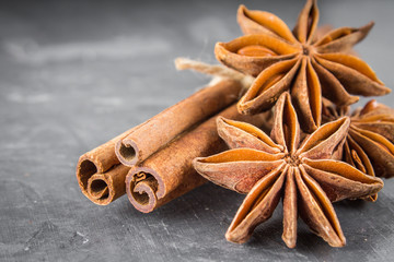 star anise and cinnamon on the gray background