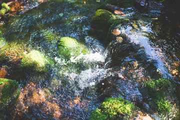 Clean water in a mountain stream