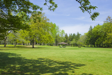 公園　新緑