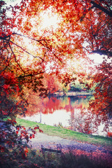 Naklejki  Jesienny krajobraz z kolorowymi liśćmi i jeziorem w parku, jesień tło natura na świeżym powietrzu