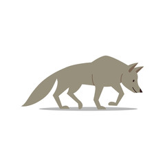 Vector Illustration of a Wolf