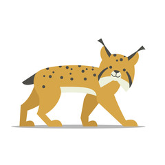 Fototapeta premium Ilustracja wektorowa Lynx