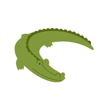 Vector Illustration of a Crocodile