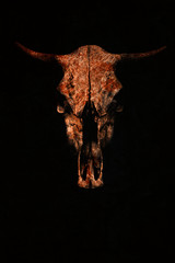 Creative red bull's skull on a black background