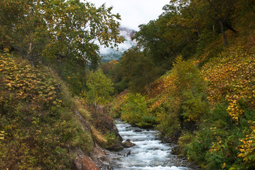 River in Kamchatka, autumn landscape.