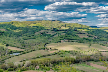 Fototapeta na wymiar the Chianti countryside in Tuscany with vineyards and villas and farmhouses in the hills