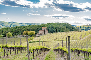 Panorama of green chianti hills in tuscany italy in spring, land of red wine and cypresses