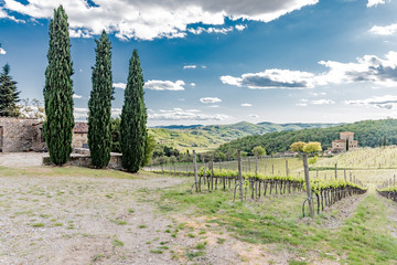 Panorama of green chianti hills in tuscany italy in spring, land of red wine and cypresses