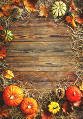 Naklejka na ściany i meble Harvest or Thanksgiving background with gourds and straw