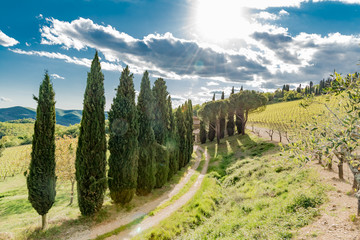Panorama of green chianti hills in tuscany italy in spring, land of red wine and cypresses