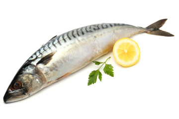 atlantic mackerel fish with lemon isolated on white background