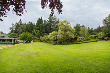 Large Green Lawn in Garden