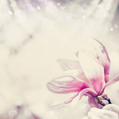 Obraz na płótnie Canvas Floral border with pretty magnolia flowers, pastel color