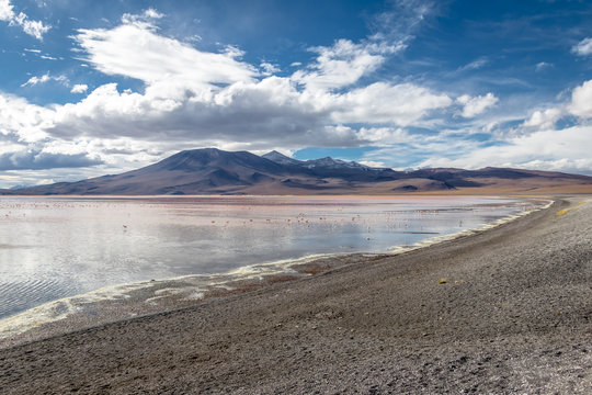 Laguna Colorada (Red Lagoon) in Bolivean altiplano - Potosi Department, Bolivia