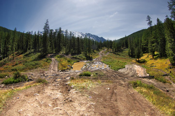 Extreme rocky dirt road in a mountain valley among cedar trees forest on the background of snowy mountain ranges Aktru Altai Mountains, Siberia, Russia