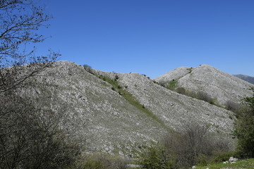 Monti