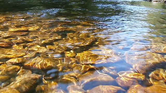 courant de la rivi&egrave;re