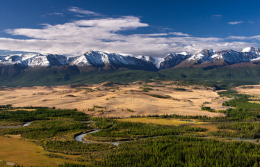 A top high view to highland steppe river plateau valley with yellow grass and green trees on a background of snow ice mountain ranges and glaciers under clouds and blue sky Kurai Altai Siberia Russia