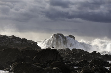 Stormy seascape with beautiful light