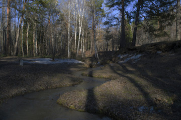 Small river flows between hills and forest in Siberia.