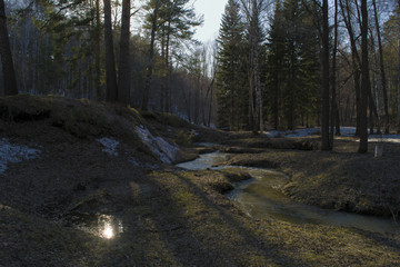 Creek flows between hills and forest in Siberia.