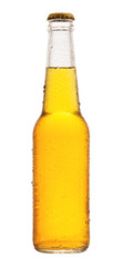 bottle of beer on white background