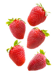 set of various strawberries on white background