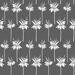 Floral vector seamless pattern with hand drawn orange lilies -  Kaiser's crown flowers. Black and white flowers on dark gray  background.