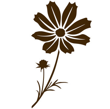 Cosmos Flower Silhouette. Vector Illustration. Decorative Flower With Bud