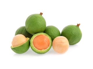 Macadamia nut isolated on white background.