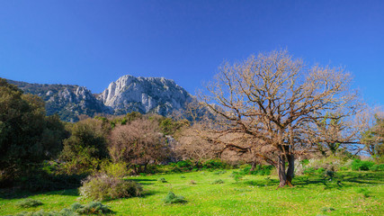 Hiking in the lovely green spring hills if Sicily in April