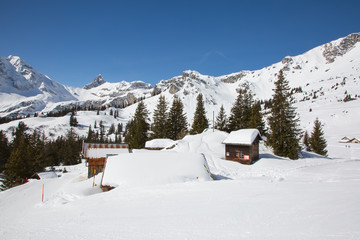 Winter in alps