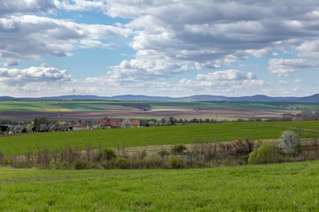 Obraz premium Rural landscape with horizon and fields