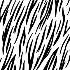 zebra skin background © Francois Poirier