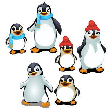 Cheerful family of penguins in a cap and scarf