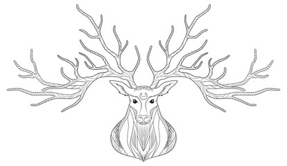 Deer head, graphic head drawing, vector illustration