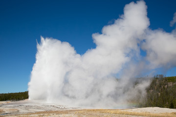 Geyser