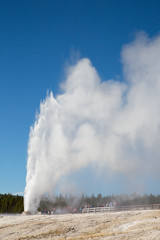 Geyser