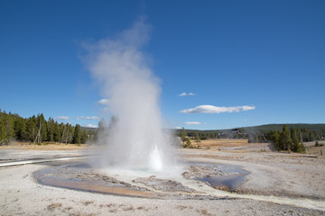 Geyser