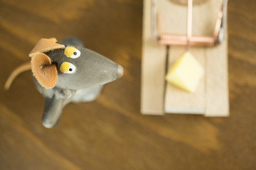 Maus schaut auf eine Mausefalle mit einem Stück Käse, Sicht von oben