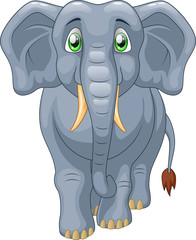 Cute elephant cartoon. Vector illustration
