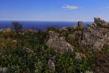 Hiking in the lovely green spring hills if Sicily in April