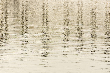 Background. Strips on the water. Ripples on the watery surface, black and white image