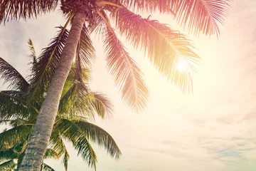 Deurstickers Tropisch strand Tropisch strand met palmbomen en zonnige lucht