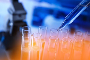 Lab