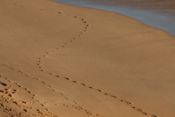 Fu&szlig;abdr&uuml;cke im Sand
