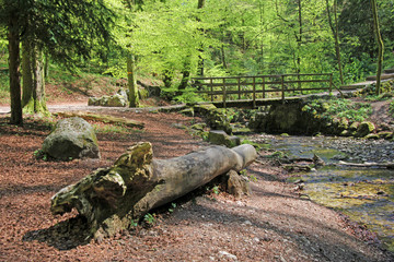 Verenaschlucht, Solothurn, Schweiz