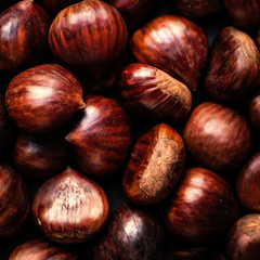 Heap  of edible fresh chestnuts on old wooden table. Group of ripe big chestnuts with copy space, macro