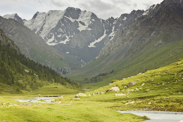 river valley with snow-covered mountains and green fields and forest on slopes